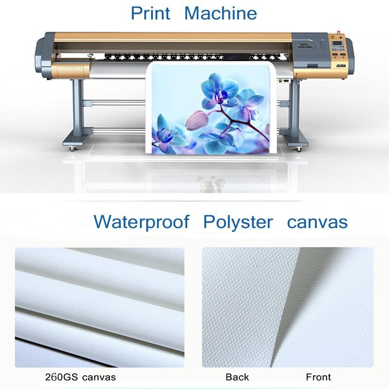 Poster struktur otot anatomi c - Interior Design Education ulasan dan harga