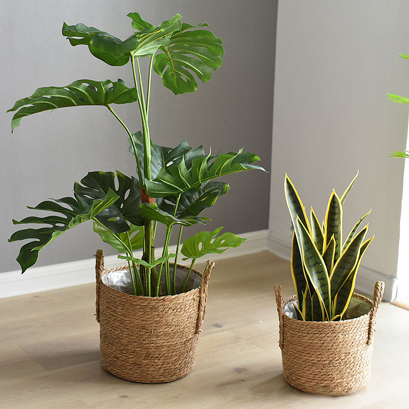 1 buah pot tanaman dengan pega - Rattan Tray Handle ulasan dan harga